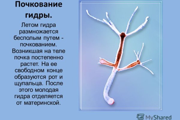 Кракен сайт вход официальный зеркало