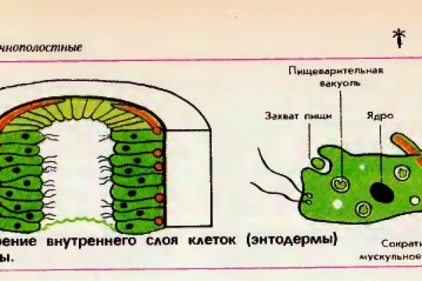 Кракен через впн