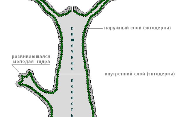 Vk8 at кракен рабочий