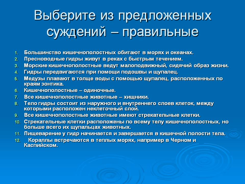 Почему сегодня не работает площадка кракен